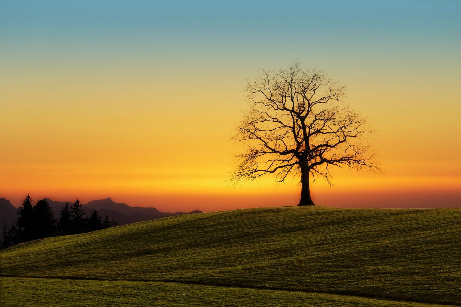 How to create a funeral slideshow slideshowgo blog
